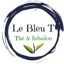 bleu t logo